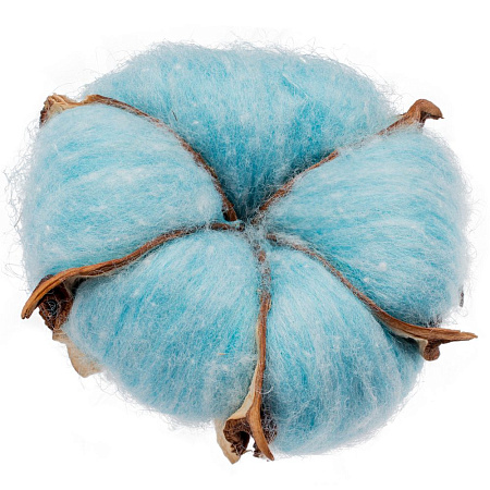 Цветок хлопка Cotton Цветок хлопка Cotton