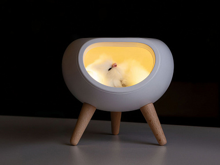 Ночник  LED Koko