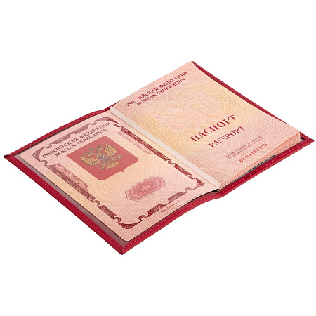 Обложка для паспорта Shall