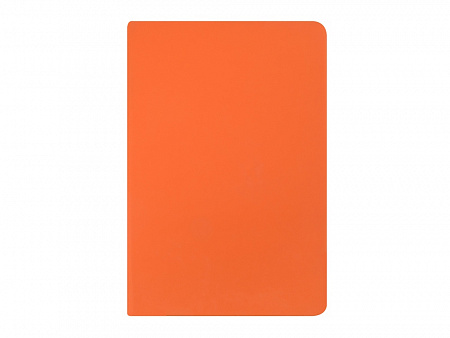 Ежедневник недатированный А5 Carrara