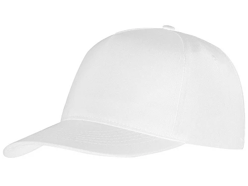 Бейсболка Poly