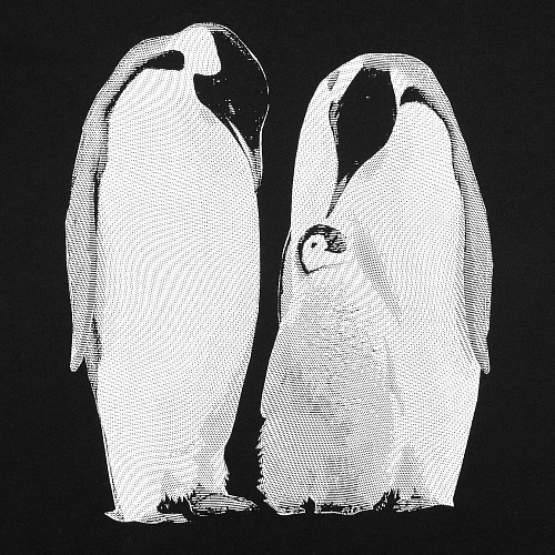Футболка женская Like a Penguin