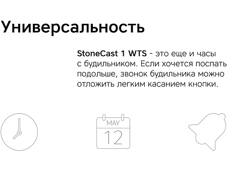 Метеостанция StoneCast 1 WTS